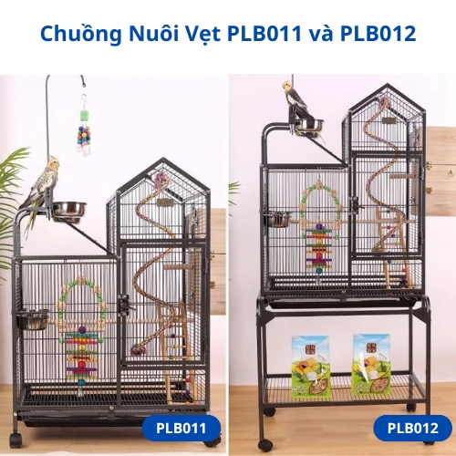 Chuồng Vẹt P